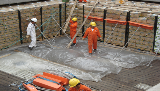 Image:The clause makes it mandatory that these tasks should be performed by trained and qualified dockworkers, not by seafarers.