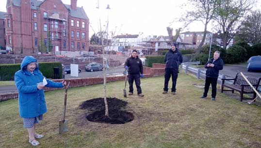 nwf_treeplanting3_sheena_shaw_2022_web.jpg