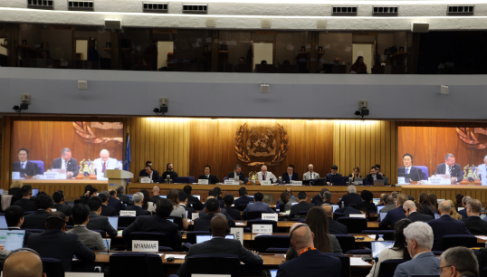 Image:The IMO Sub-Committee on Human Element, Training and Watchkeeping (HTW), meeting in February 2024. HTW is charged with developing amendments to the STCW convention which will include new fuels training. Image: IMO Flickr
