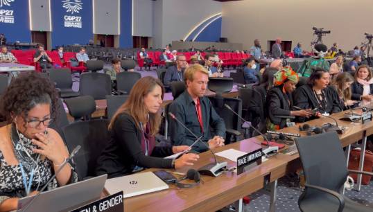 Image:The ITF's Juman Kubba delivering the closing statement for trade unions at COP27. Image: ITF