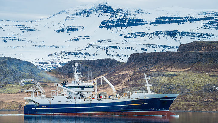 Image:The maximum allowable sulphur content used in Iceland's territorial and inland waters, including in fjords and bays, will be lowered from 3.5% to 0.1%. Image: Getty Images