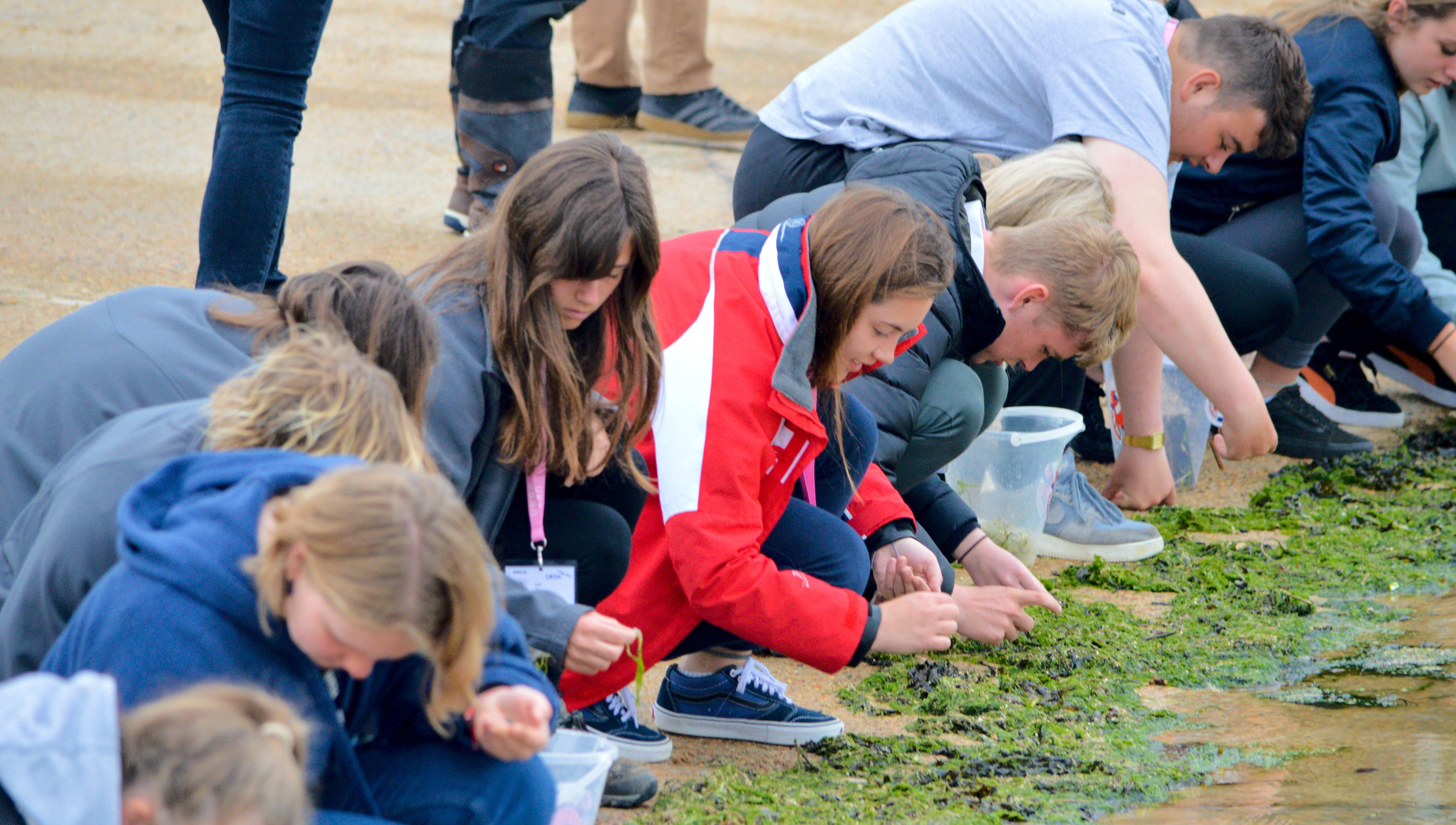 Image:Trainees help sift plastic from debris that washes up at the Isle of Wight charity's training centre.