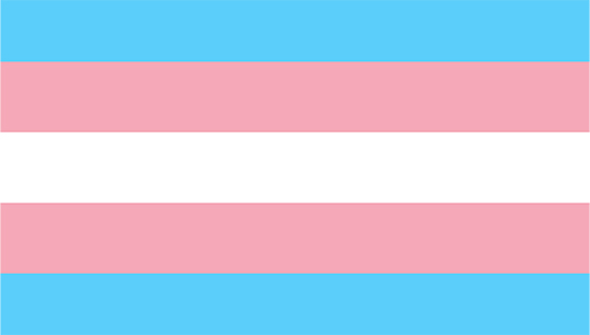 Image:The transgender pride flag designed by US activist Monica Helms
