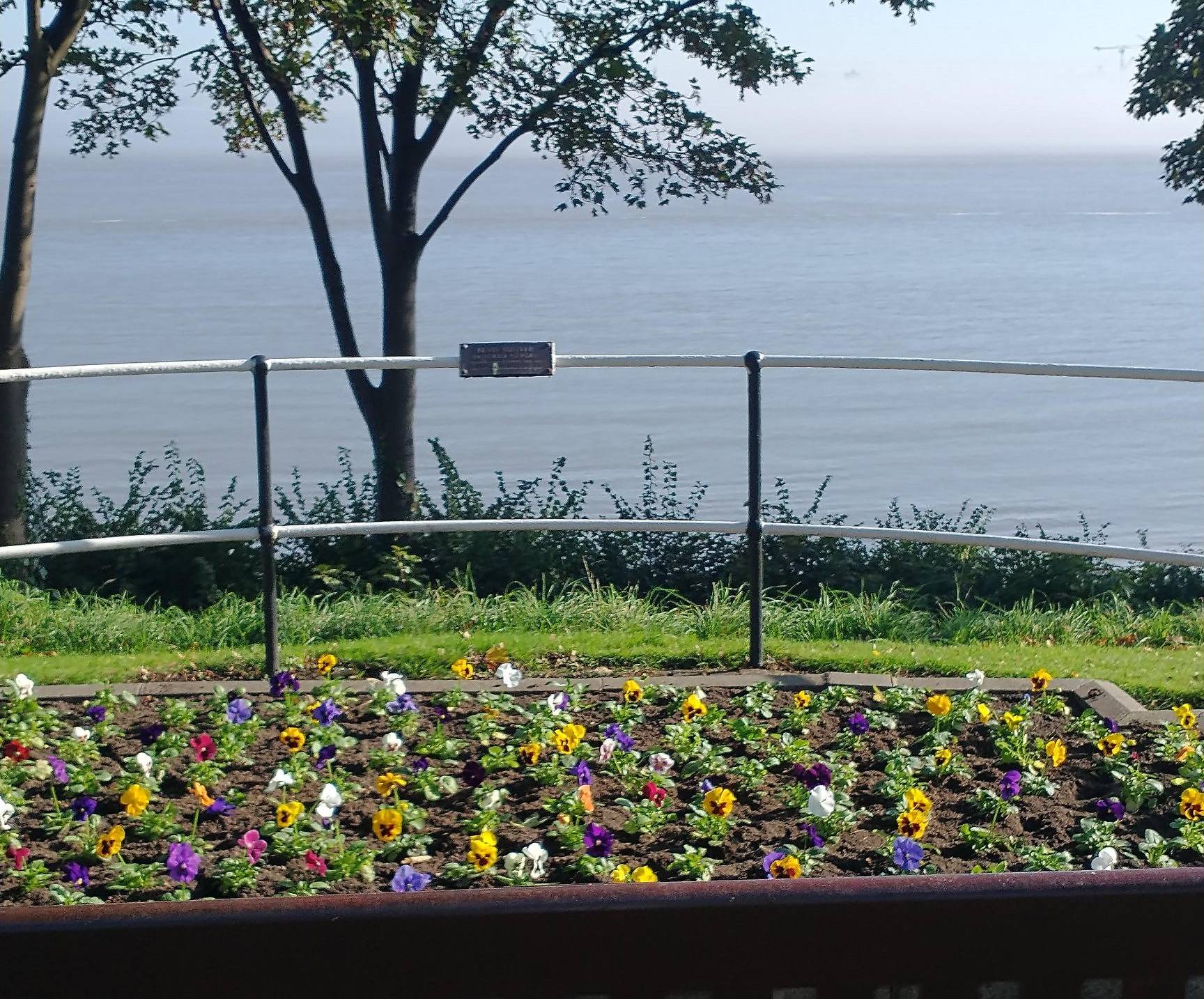 Image:The Bevis Minter garden today. Image: Nautilus International