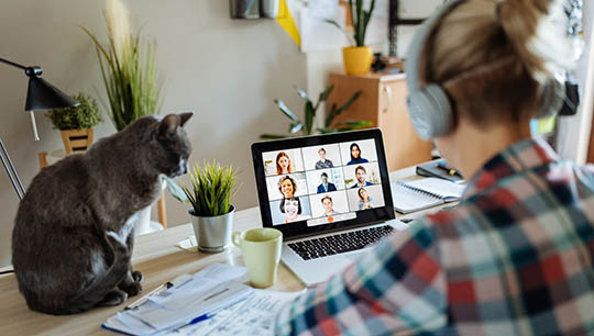 Image:Video chat: each Equality and Diversity Forum meeting will include a guest speaker or discussion topic. 