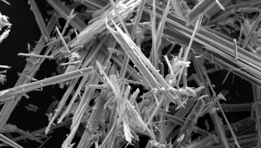 Image:Nautilus can support members through legal cases related to asbestos exposure. Image: Wikimedia Commons