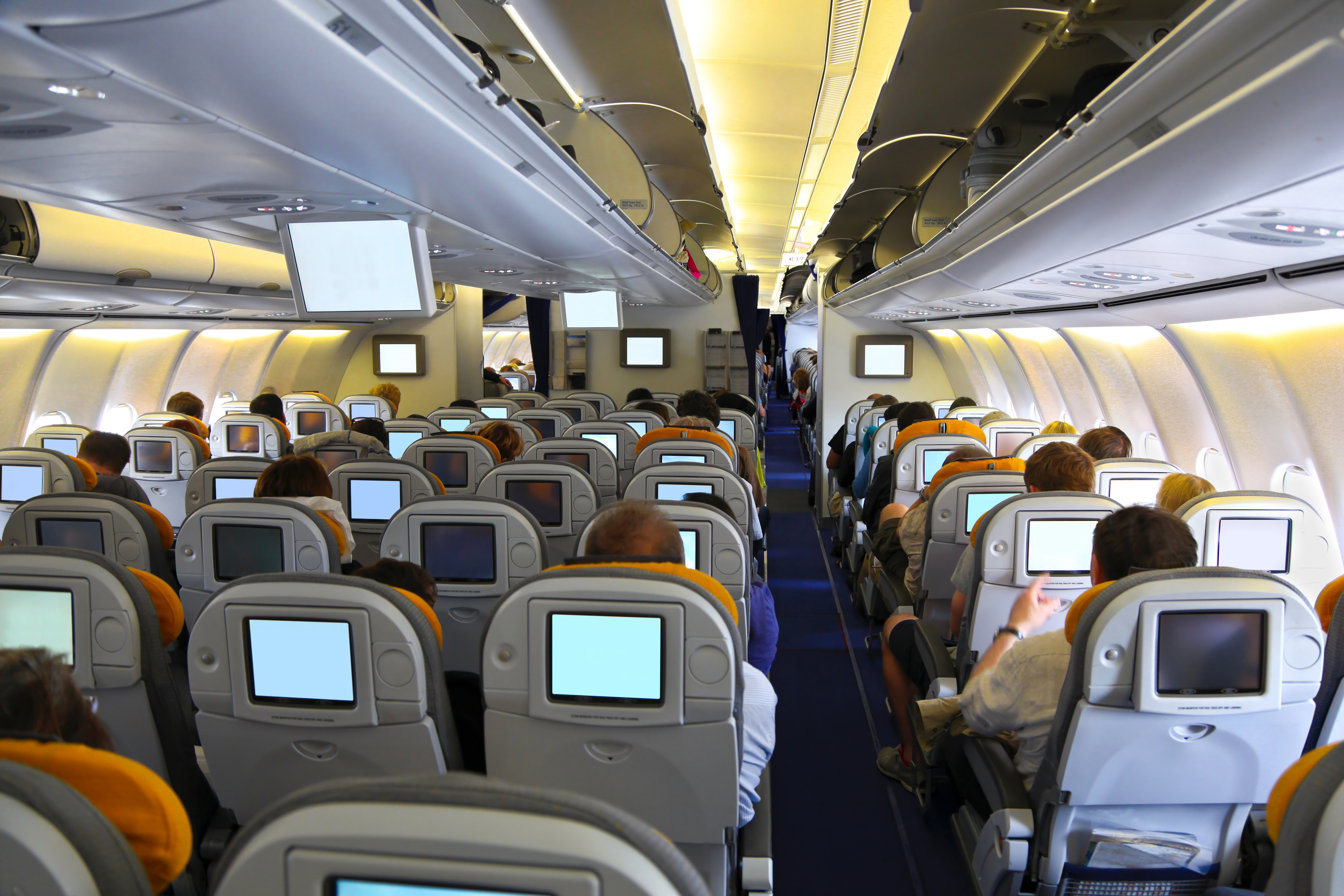 Image:Air travellers are advised to wear compression socks for flights of four hours or more.