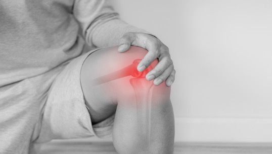 Image:Research published in the British Medical Journal (BMJ) found ratings suffered more knee and lower leg injuries than officers. Image: Getty Images