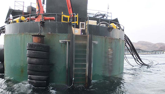 Image:The fish farm's C-Cap feed barge showing the access ladder. Image MAIB 