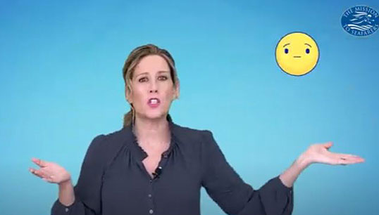 Image:Pam Kern in her webinar E-coach role. Image: The Mission to Seafarers