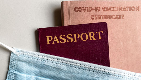 Image:Seamen and Masters, Maritime Pilots and Inspectors and Surveyors of ships are exempted from mandatory quarantine and pre-arrival testing measures. Image: Getty Images