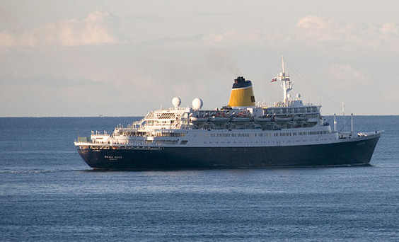 Image: Saga Rose wikimedia commons