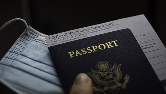 Image:Nautilus advises seafarers to keep vaccination documents safe. Image: Getty Images