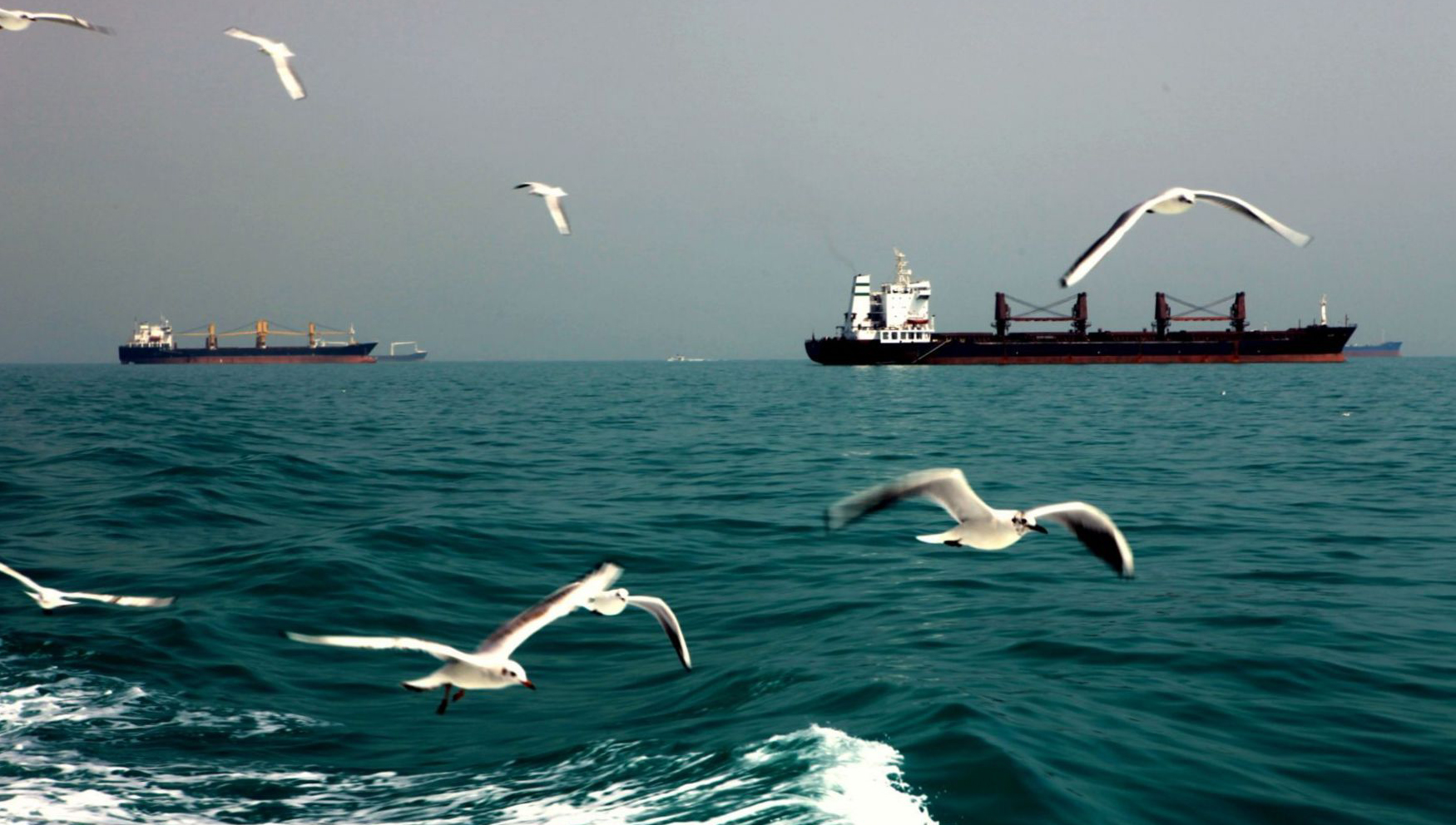 Image:In more peaceful times: merchant vessels transit near Hormuz Island in the Persian Gulf. Image: Wikimedia Commons/Ninara Flickr 2011