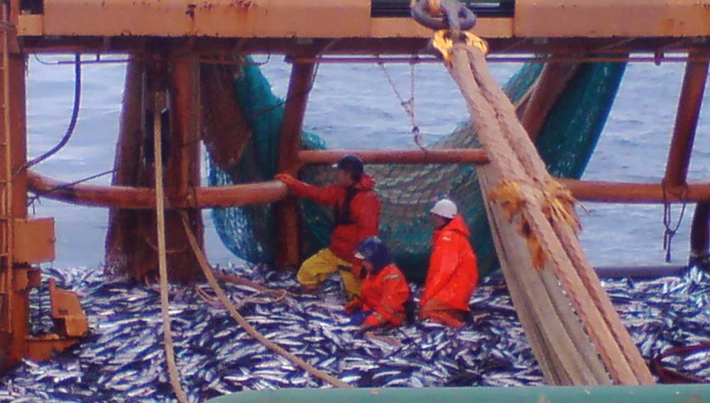 Image:Fisher crew at work. Image: Nautilus member Ademe Douwe entry in the Nautilus photocompetition 2019.
