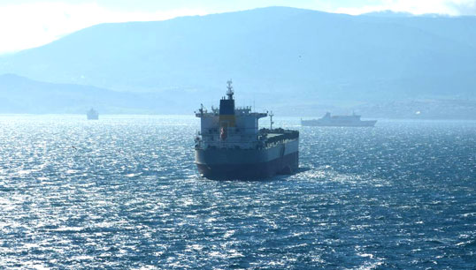 Image:The Panama-flagged bulk carrier Ilia captured on a voyage in 2015 by Ships In Pictures. Image: Twitter.