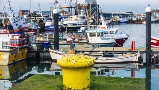 Image:Irish fishing vessels near Dublin. Image: J2R / Getty Images