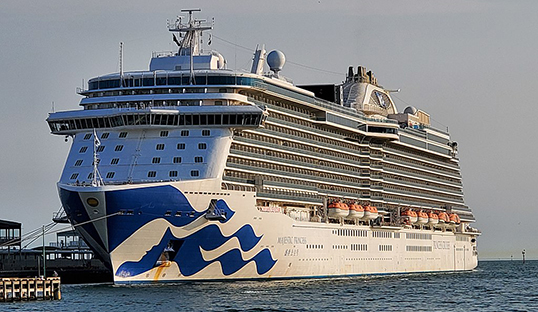 Image:The Princess Cruises vessel Majestic Princess. Image: Tunestoons/Wikimedia Commons
