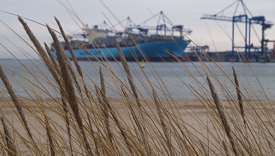 Image:Danish union Metal Maritime says that Maersk illegally forbade its seafarers from going ashore in their leisure time during the Covid pandemic. Image: Getty Images 