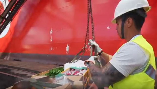 Image:'Some seafarers have been onboard for many months and potentially face many more months at sea before they can return to their loved ones. It is important that they receive the equipment and stores they need.' Image: ship supplies being uploaded, Master Marine Supplier YouTube