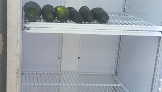 Image:An almost empty fridge shows what little food supplies were left for the 16 crewmembers of the Ra-Horakhty before Stella Maris stepped in. Image: Stella Maris