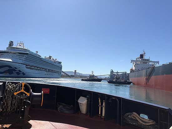 ruby_princess_port_kembla_tug_web_insert.jpg