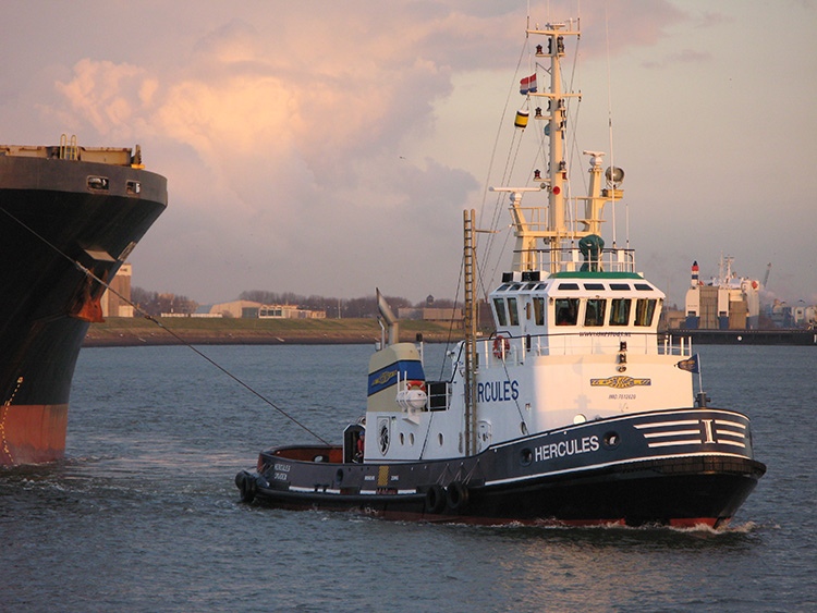 Image:Havensleper Hercules