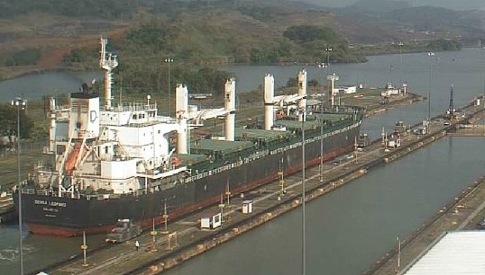 Image:The Maltese-flagged MV Densa Leopard. Image: VesselFinder.com