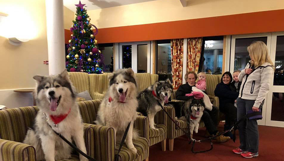 Image:Huskies providing pet therapy at Mariners' Park Care Home.