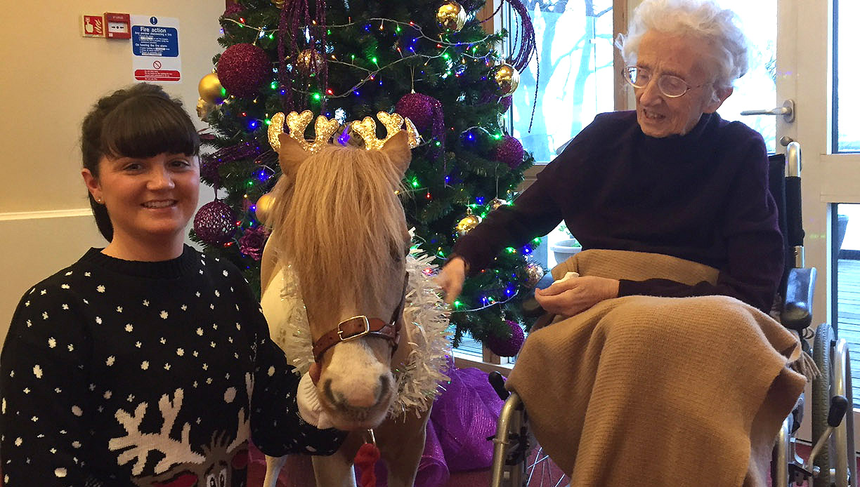 Image: therapy pony Fudge Cake visits Mariners' Park resident Rita Carrier with his owner Jess O'Brien.