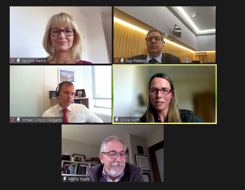 shs_webinar4.JPG